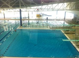 10168912_10153976246955582_1464460062_n