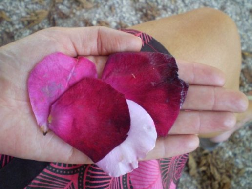 1931204_244583015581_6971557_n