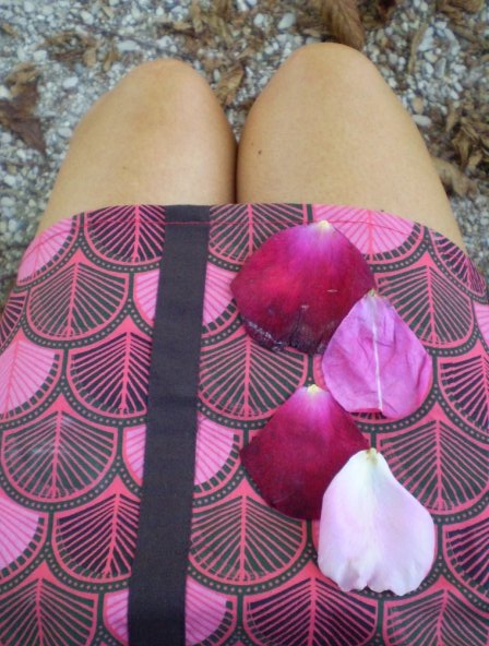 1931204_244583025581_4734514_n