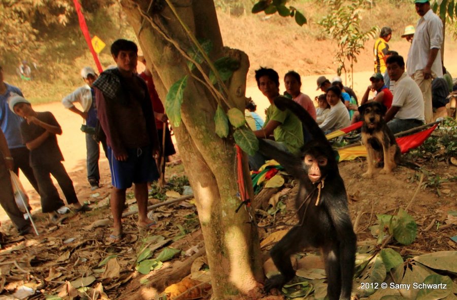 415364_10151779442645346_581144689_o