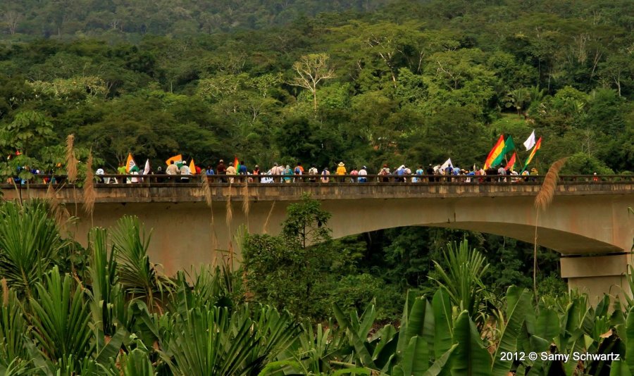 478360_10151779531545346_875220753_o